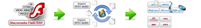 Flash to Video Converter