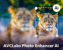 AVCLabs Photo Enhancer AI