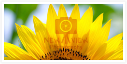 Photography Logo