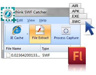 Grab Flash SWF from local file
