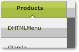 Flash Menus