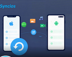 Phone manager